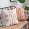 The new autumn and winter collection features a three-dimensional embroidered pillowcase from the Ximi series, a two-color American-style sofa pillow, and an office backrest Specification image